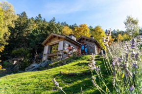 Resalbert Chalet Panorama